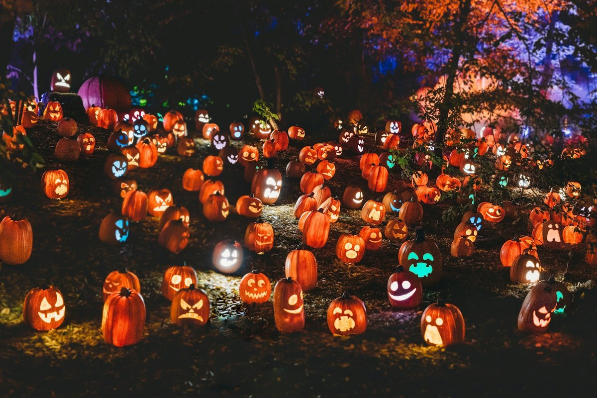 Spooktacular Ways to Give Back: Celebrating Halloween 2026 in Hamilton