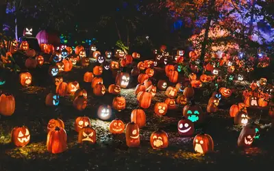 Image à la une pour Spooktacular Ways to Give Back: Celebrating Halloween 2026 in Hamilton