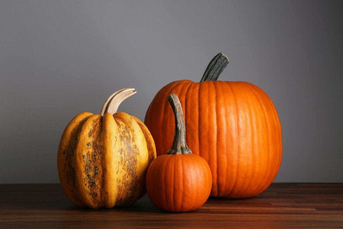 Setting a Wider Table: Meaningful Ways to Give Back This Thanksgiving Across Hamilton