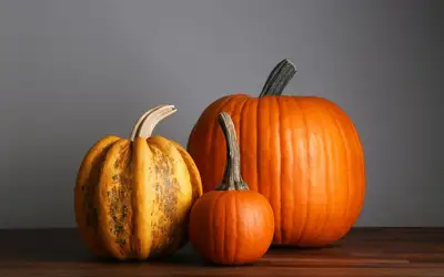 Feature image for Setting a Wider Table: Meaningful Ways to Give Back This Thanksgiving Across Hamilton