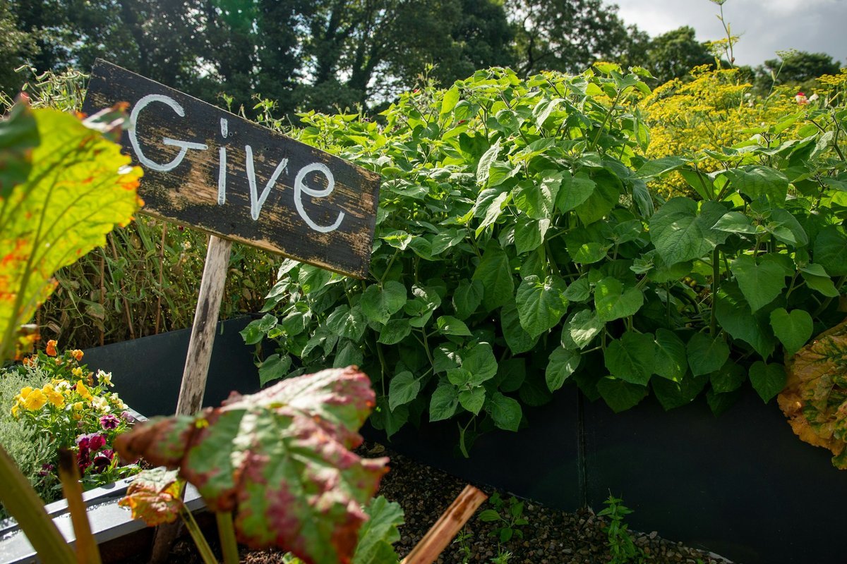 Innovate Today, Nourish Tomorrow: Reimagining Food Security Across Hamilton