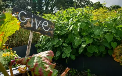 Image à la une pour Innovate Today, Nourish Tomorrow: Reimagining Food Security Across Hamilton