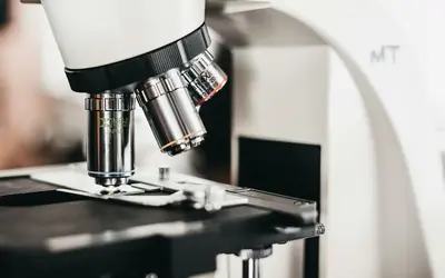 Micro-Volunteering in Hamilton: How to Make a Big Difference in Just Minutes