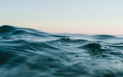 Feature image for Celebrate World Water Day in Hamilton!