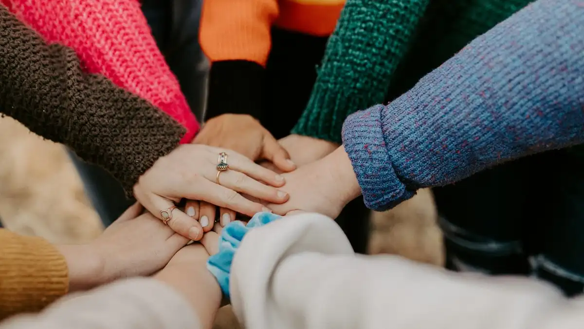 Volunteer opportunities in Hamilton